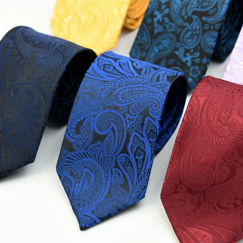 Manufacturer Popular Pattern Necktie Premium Paisley Ties for Mens Suit Low MOQ PT808